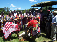 Market day. The mamas are paid for their males. The females are laying eggs and reproducing. A life-sustaining cycle has been established.