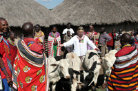 AIA visitors are always welcome to see the progress we are making.