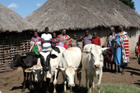 Class photo: Amy, Janet, Big Al, Mary, and Fanda.