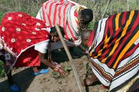 Teamwork is the key to success in AIA projects. The pride and ownsership of these projects provides hope.