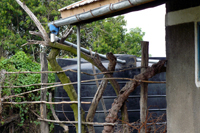 A crude but effective water collection system is in place at our school.